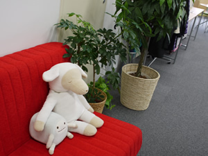 枕、寝具専門のネットショップで年商6億。在庫ゼロのシステマチック経営。